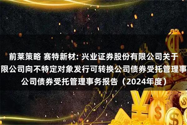 前莱策略 赛特新材: 兴业证券股份有限公司关于福建赛特新材股份有限公司向不特定对象发行可转换公司债券受托管理事务报告（2024年度）